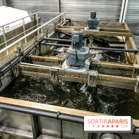 Earth Month à Disneyland Paris