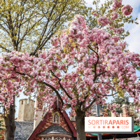 Earth Month à Disneyland Paris