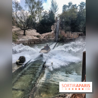 La Mer de Sable 2019, les photos