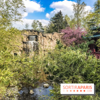 La Mer de Sable 2019, les photos