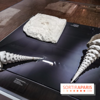 Exposition Préhistoire, un invention moderne au Centre Pompidou, les photos