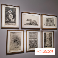 Exposition Préhistoire, un invention moderne au Centre Pompidou, les photos