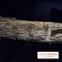 Exposition Préhistoire, un invention moderne au Centre Pompidou, les photos