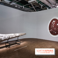 Exposition Préhistoire, un invention moderne au Centre Pompidou, les photos