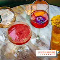 Le 1905, le speakeasy Belle Epoque du Vins des Pyrénées