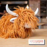 Lombem, Grill and Bar à Paris : nos photos