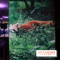 Unexpected China, l'espace éphémère à Paris