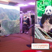 Unexpected China, l'espace éphémère à Paris