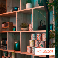 Unexpected China, l'espace éphémère à Paris