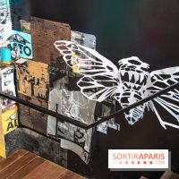 Exposition Swoon à Fluctuart