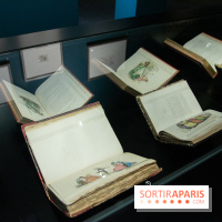 Les drôles de petites bêtes d'Antoon Krings au Musée des Arts Décoratifs : nos photos