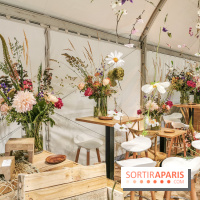 Jardins Jardin aux Tuileries 2019