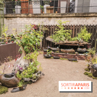 Jardins Jardin aux Tuileries 2019