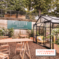 Jardins Jardin aux Tuileries 2019