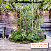 Jardins Jardin aux Tuileries 2019