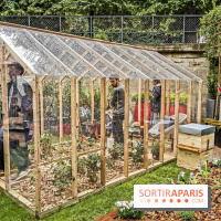 Jardins Jardin aux Tuileries 2019