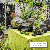 Jardins Jardin aux Tuileries 2019