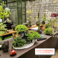 Jardins Jardin aux Tuileries 2019