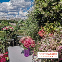 Jardins Jardin aux Tuileries 2019