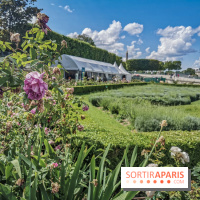 Jardins Jardin aux Tuileries 2019