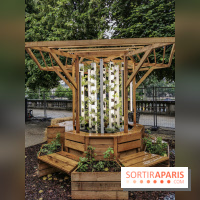 Jardins Jardin aux Tuileries 2019