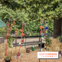 Jardins Jardin aux Tuileries 2019