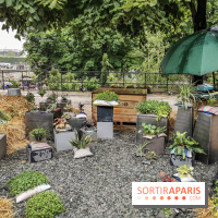 Jardins Jardin aux Tuileries 2019