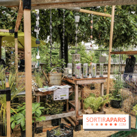 Jardins Jardin aux Tuileries 2019