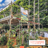 Jardins Jardin aux Tuileries 2019