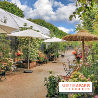 Jardins Jardin aux Tuileries 2019
