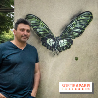 Les Papillons de C215