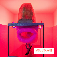 Prince.sse.s des Villes, l'exposition au Palais de Tokyo