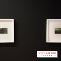 The Projective Drawing, l'exposition au Drawing Lab