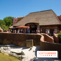 Festival du Roi Lion et de la Jungle à Disneyland Paris : photos