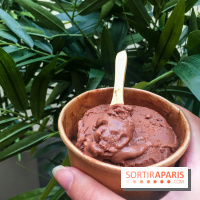 Les glaces au chocolat de Ducasse 