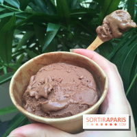 Les glaces au chocolat de Ducasse 
