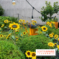 Jardin du Joy été 2019 