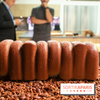 Bûche de Noël 2019 de Ducasse