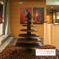 Chocolats de Noël 2019 de Ducasse