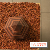 Chocolats de Noël 2019 de Ducasse