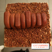 Bûche de Noël 2019 de Ducasse