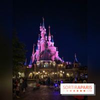 Visuels Disneyland Paris château nuit