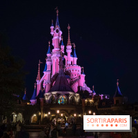 Visuels Disneyland Paris château nuit