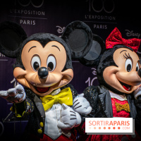 Visuels Disneyland Paris Mickey Minnie