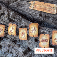 Visuels Disneyland Paris - chasse au trésor