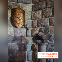 Visuels Disneyland Paris - château belle au bois dormant