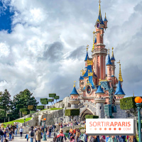 Visuels Disneyland Paris château