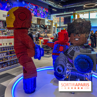 Visuels Disney Village - LEGO Store
