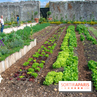 Le Château de Chambord fête ses 500 ans : le programme des festivités