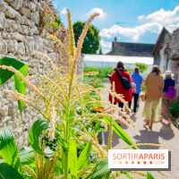 Le Château de Chambord fête ses 500 ans : le programme des festivités